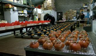 Dans les coulisses des artisans de bouche de chez nous !