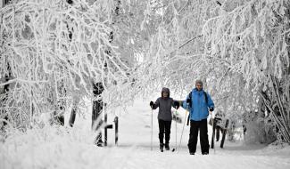 Envie de glisse ? Le point sur les pistes ouvertes ce 7 janvier