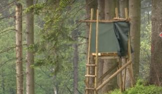 Chasse à Spa : la motion de l’opposition rejetée après un vif débat