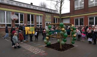 Un nouvel arbre à Stembert pour une cour plus verte