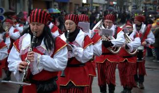 Moins de décibels, plus de musiques carnavalesques !