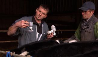 Pénurie de vétérinaires ruraux : une profession essentielle en quête de relève