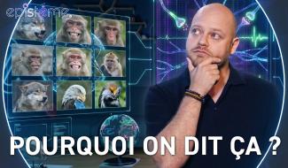 Epistème - La Vérité derrière les Expressions Animalières