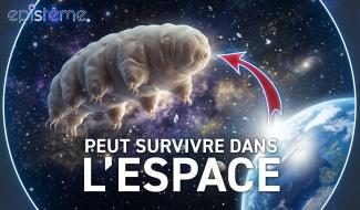 Epistème - La Résistance Incroyable du Tardigrade