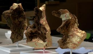 Vincent Solheid transforme le bois en trophées pour les René du cinéma