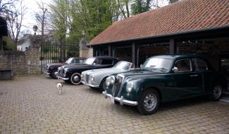 Lancia, une passion de toute une vie