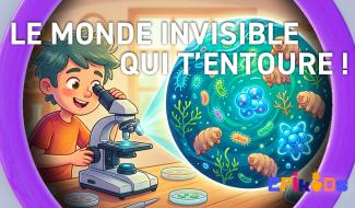 Epikids : Les records XXS
