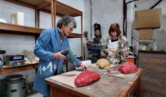 L' Atelier du Prince à l'heure de la métamorphose