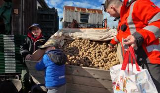 Donner ses pommes de terre pour ne pas les jeter