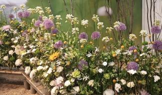 Aux Floralies de Gand, Bernadette Pichot fait éclore les Fagnes au cœur de l’élite mondiale des fleurs