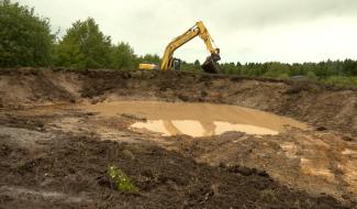 Bronromme: la nature en reconstruction