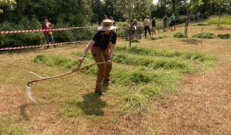 Welkenraedt : premier championnat de fauchage à la faux en Wallonie