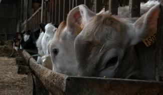 Les agriculteurs en colère contre la pub Gaia