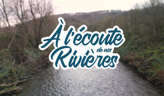 La difficile lutte contre l'invasive renouée du Japon