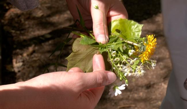 Des jeunes enfants s'initient à la nature grâce à un stage
