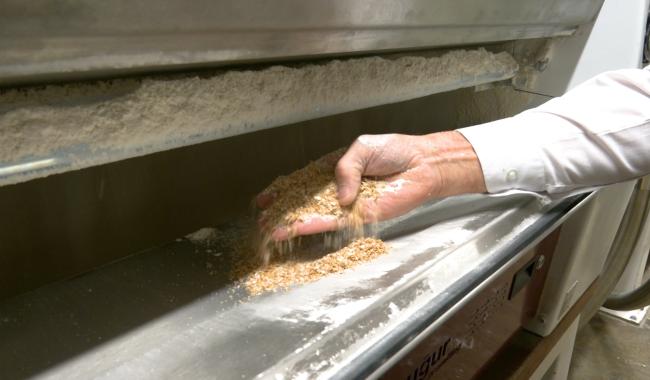 Plombières : entre traditions et innovations, les Moulins du Val Dieu ont le vent en poupe