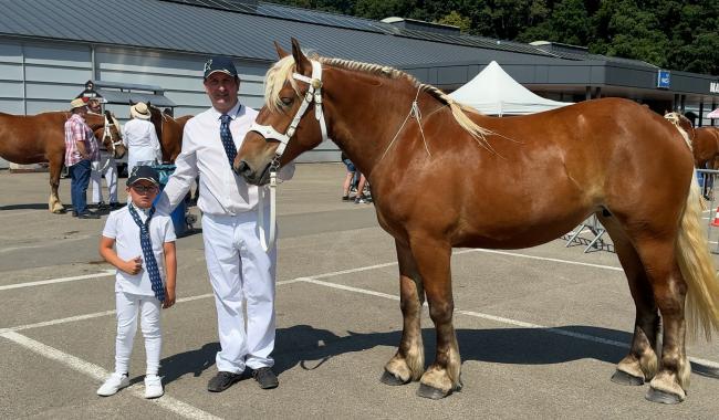 Malmedy: les Traits Comtois à l'honneur