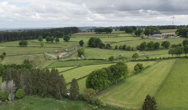 Wirtzfeld: un sentier des haies didactique et ludique