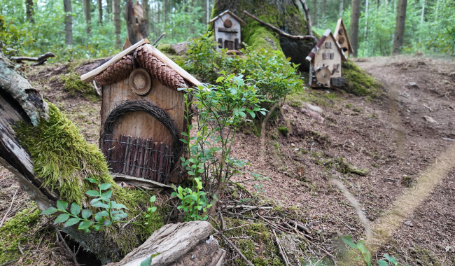 34 oeuvres d’art végétales enchantent les bois de Xhoffraix