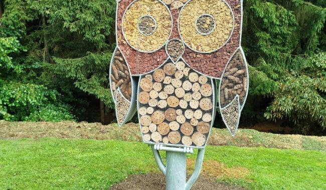 Les jeunes conseillers plombimontois ont inauguré leur projet au home Regina