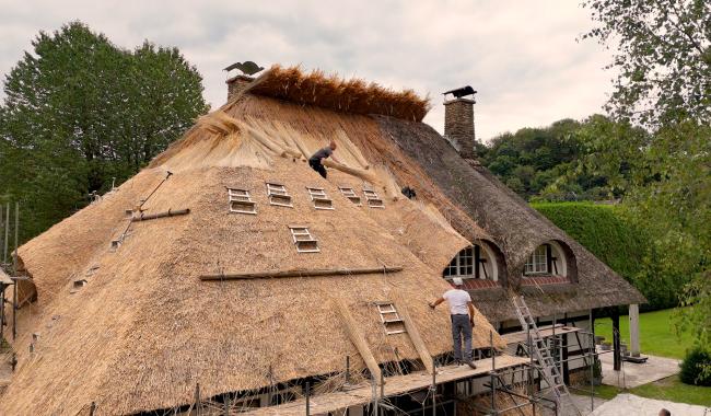 Le toit de chaume, perpétué par des passionnés