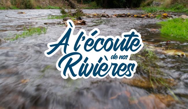 Du grutier au scaphandrier, ils travaillent dans nos rivières