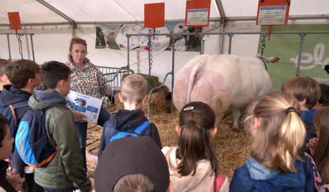 Quand la Foire agricole de Battice devient une classe à ciel ouvert