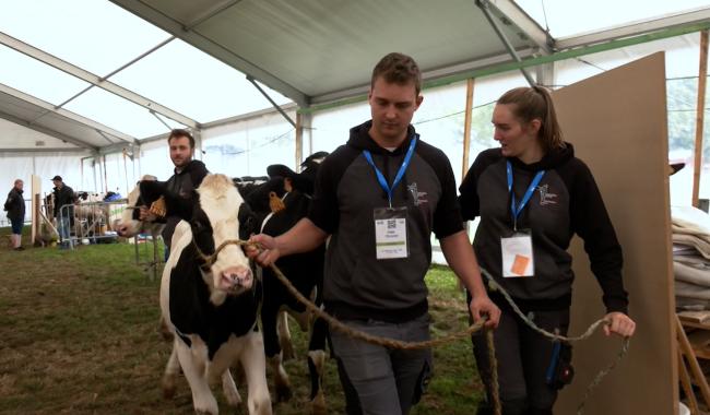 La Foire agricole de Battice, carrefour mondial des jeunes passionnés d’élevage