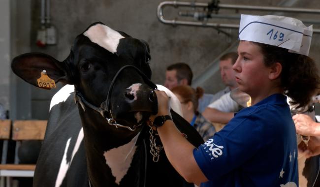 Petits et grands à la 35ème Foire agricole de Battice