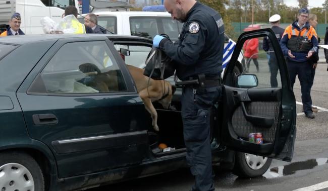 Plus de 1 500 personnes contrôlées lors d’une vaste opération de police transfrontalière