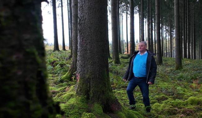 Stavelot: une vente de bois record