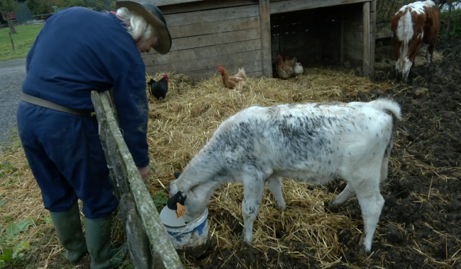 Une grande mobilisation citoyenne a sauvé la ferme de Neubempt à Plombières