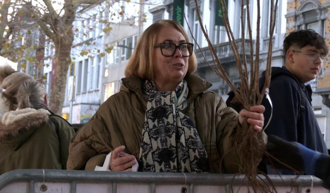 Journée de l'Arbre : 570 plants distribués gratuitement aux Verviétois