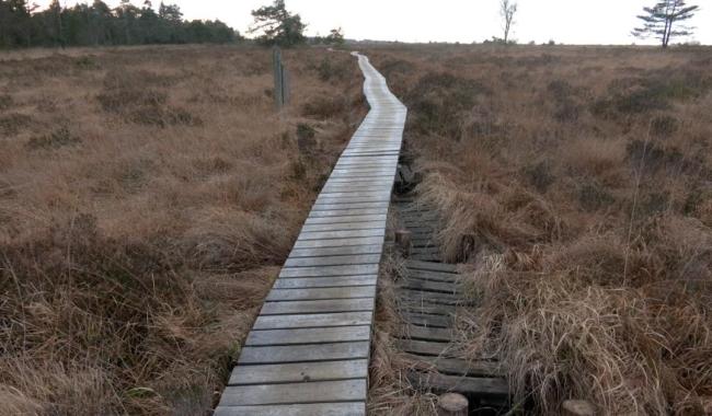 Vandalisme en Fagne de Malchamps : 20 mètres de caillebotis à réparer, mais les auteurs toujours en fuite