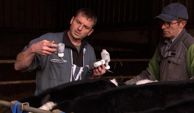 Pénurie de vétérinaires ruraux : une profession essentielle en quête de relève