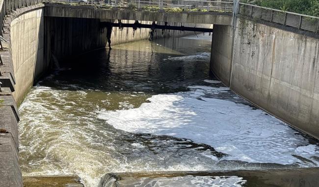 Alerte pollution sur la Vesdre : une mystérieuse mousse blanche inquiète entre Verviers et Ensival
