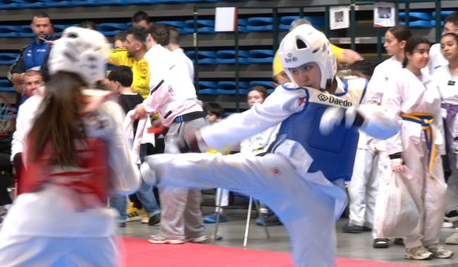 Premier Open des 3 frontières : un pari réussi à Pepinster