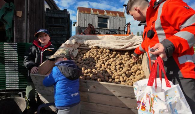 Donner ses pommes de terre pour ne pas les jeter
