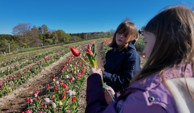 Xhoffraix: les élèves en visite très fleurie aux Cultures du Raideu