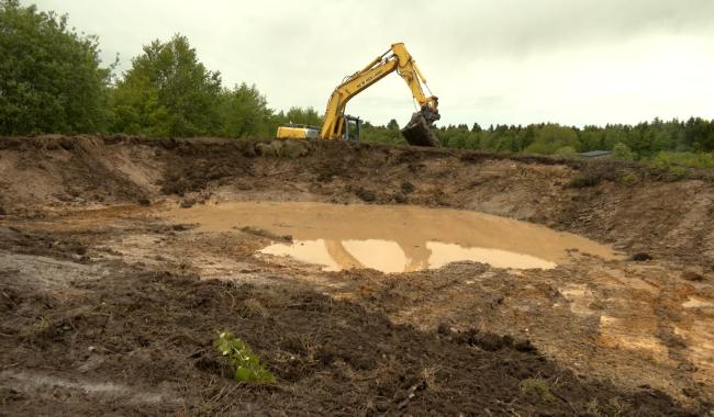 Bronromme: la nature en reconstruction