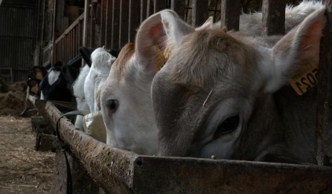 Les agriculteurs en colère contre la pub Gaia