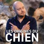 Epistème - Les Origines du Chien