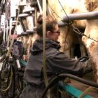 Welkenraedt : la baisse du prix du lait fragilise les éleveurs laitiers