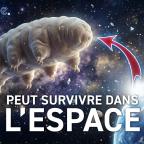 Epistème - La Résistance Incroyable du Tardigrade