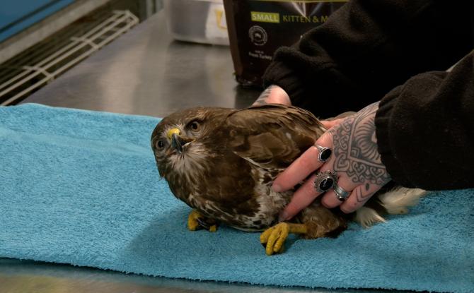 Soulagement pour les CREAVES de notre région