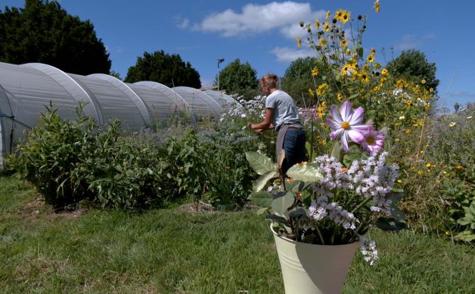 Thimister: un îlot de couleurs à l'entrée du zoning