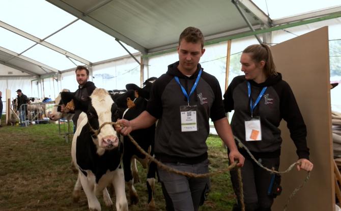 La Foire agricole de Battice, carrefour mondial des jeunes passionnés d’élevage