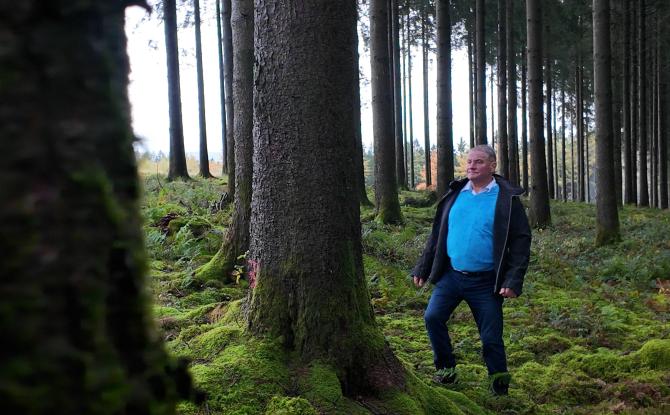 Stavelot: une vente de bois record