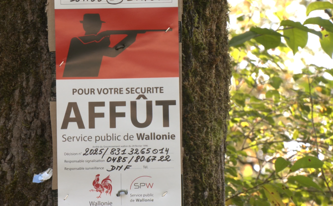 Chasseurs et promeneurs, une cohabitation sous tension !