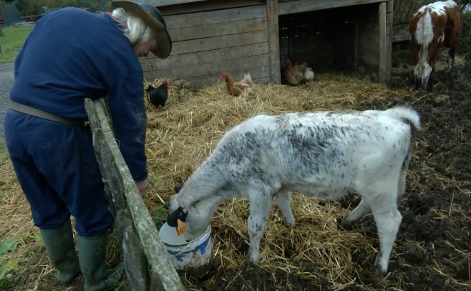 Une grande mobilisation citoyenne a sauvé la ferme de Neubempt à Plombières
